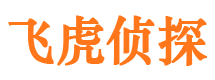 宜宾市侦探公司